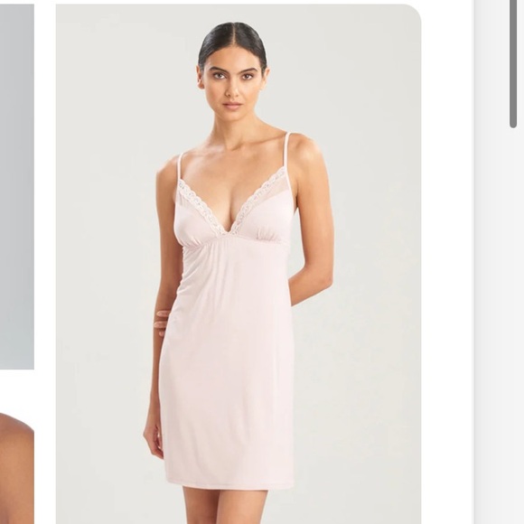 Natori Other - NWT Light Pink Lace Trim Slip Sexy Nightgown with Mesh & Lace Size XL $110
